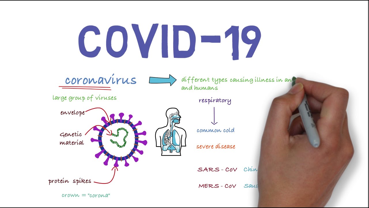 Embedded thumbnail for Coronavirus disease (COVID-19)